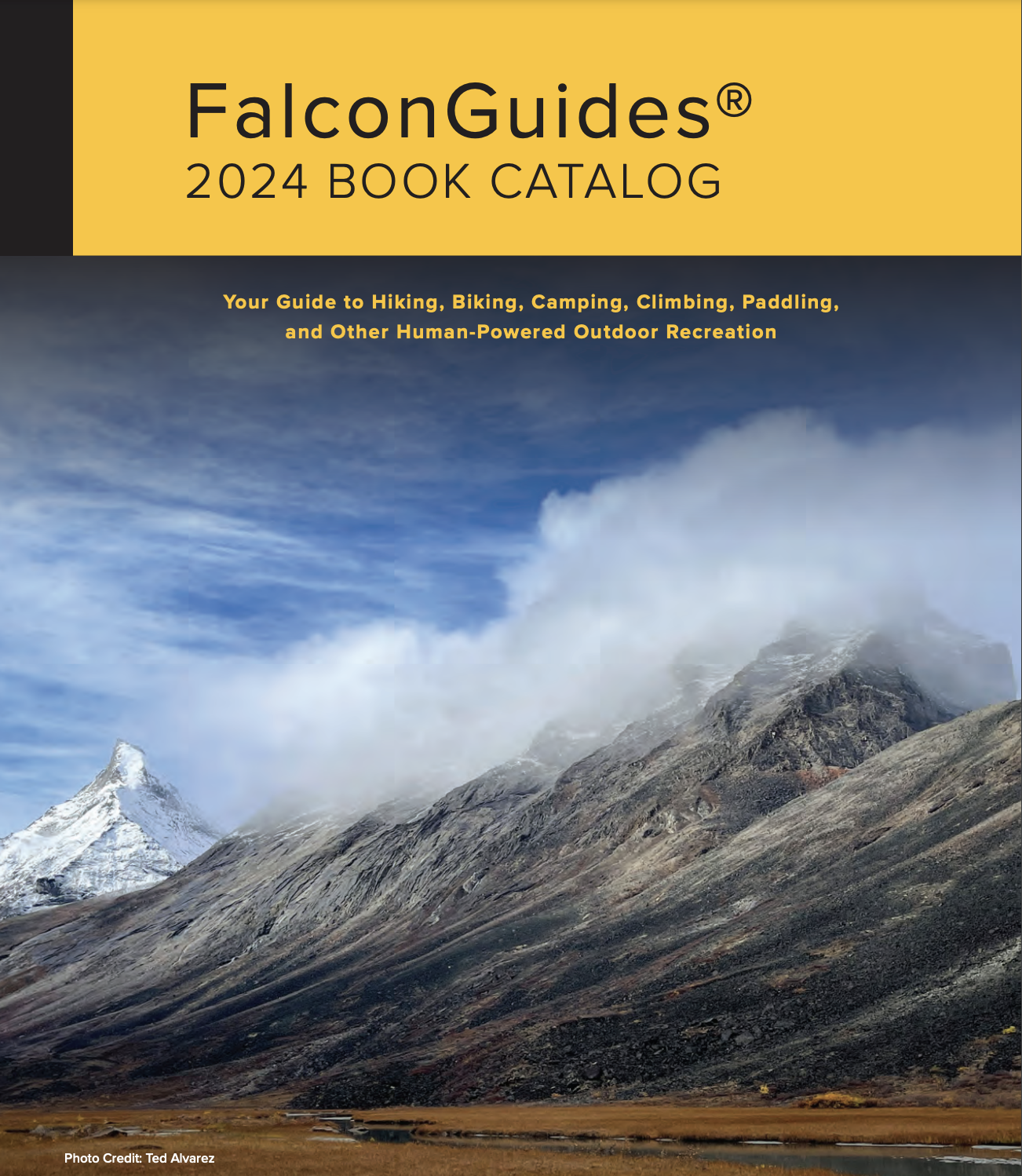 falcon fall 24